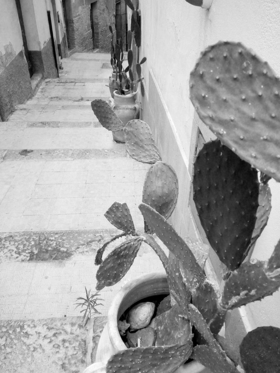 B&B Al Centro Storico Agrigento Exterior foto